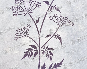 STENCIL 'Wild Cow Parsley' Flower & Leaves, Furniture, Plaster, Home Decor, Crafts, Reusable THICKER 250/10mil MYLAR, by Stencil Stash