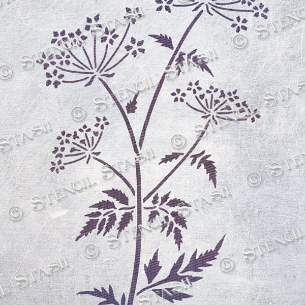 POCHOIR « Wild Cow Parsley » Fleurs et feuilles, meubles, plâtre, décoration d'intérieur, travaux manuels, réutilisable, plus épais 250/10 mil MYLAR, par pochoir