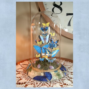 Vintage Handmade Large Glass Butterfly Dome, Blue, Yellow with Amethyst Crystals,  Butterfly&#39;s, Faux Butterfly&#39;s, 9&quot; (#16) Basm.