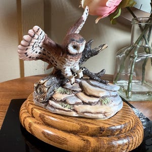 Peut inclure: Figurine de hibou en céramique détaillée, avec des ailes déployées, perché sur une base rocheuse et une plateforme en bois. Le hibou présente des plumes marron et blanches, avec un regard concentré. La base a un design naturaliste.