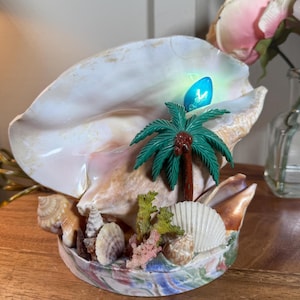 May include: A decorative seashell lamp with a large, off-white shell as the main shade. It features a small palm tree and a blue light bulb. The base is adorned with smaller shells and coral, creating a tropical theme.