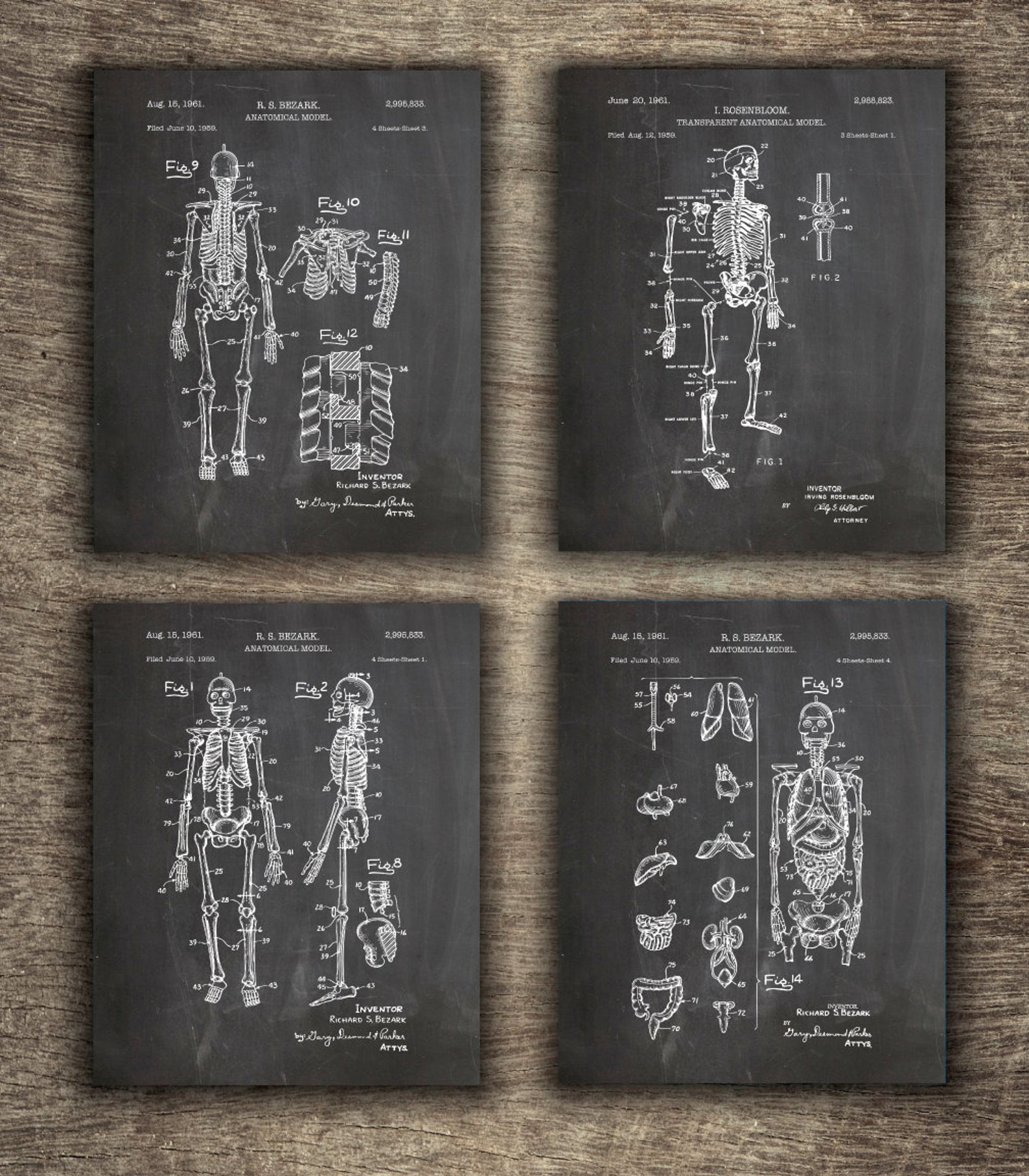 Printable Human Anatomy Art Set of 4 Designs Doctor Wall Art | Etsy