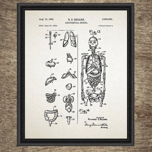 Anatomy Art Set of 4 Printables, Hospital Wall Art Prints, Medical ...