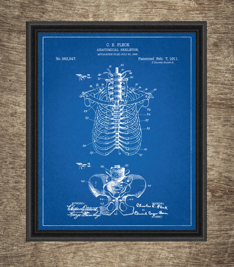 Human Anatomy Blueprint Poster Nursery Wall Decor Poster Etsy