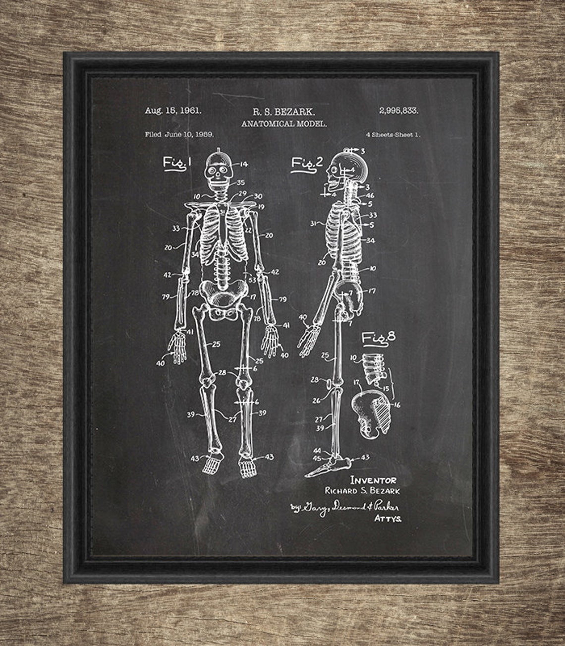 Printable Human Anatomy Art Set of 4 Designs Doctor Wall Art | Etsy