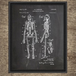 Printable Human Anatomy Art Set of 4 Designs, Doctor Wall Art Prints ...