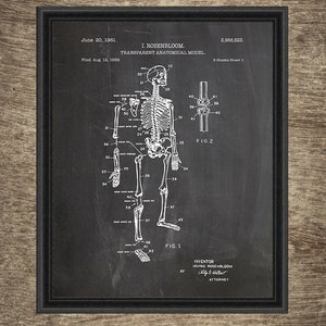 Printable Human Anatomy Art Set of 4 Designs, Doctor Wall Art Prints ...