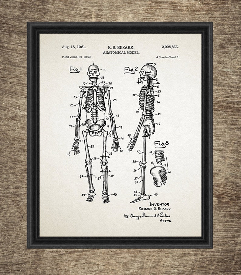 Anatomy Art Set Of 4 Printables Hospital Wall Art Prints Etsy