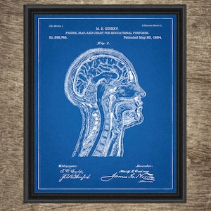 anatomy blueprint pro free download anatomy blueprint pro free download