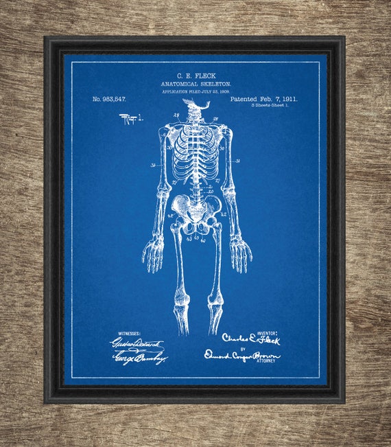 Anatomia umana Blueprint Poster / Nursery Wall Decor Poster