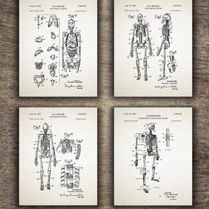 Anatomy Art Set of 4 Printables, Hospital Wall Art Prints, Medical ...