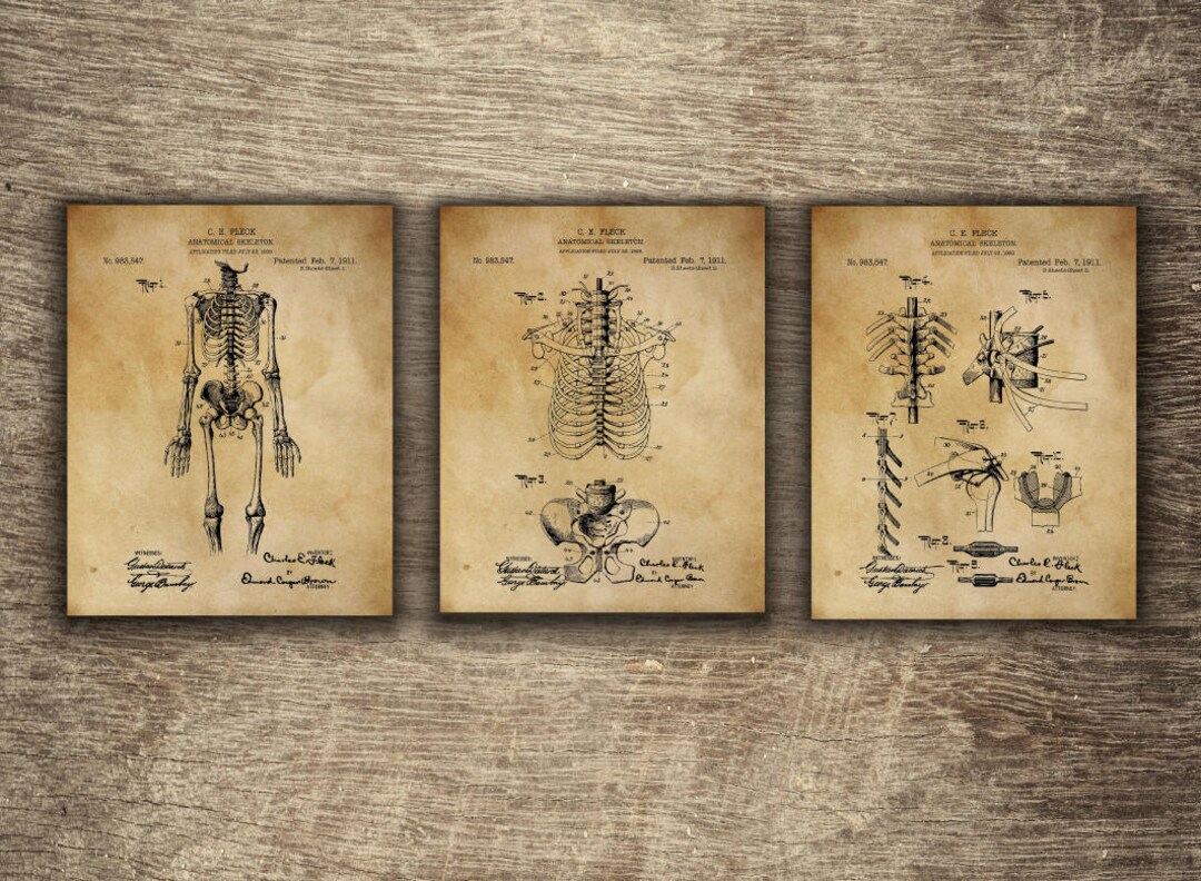 Vintage Skeleton Illustration Medical Patent Poster - Etsy