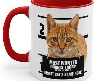 Orange Tabby Coffee Mug Color Inside - Most Wanted Cat  Gift Ideas for Cat Lovers - Personalized Color Mugs - Customize Pet Name Mugs