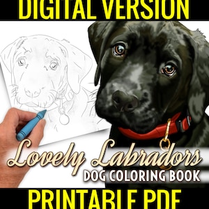 Lindo livro para colorir de cães labradores - 42 páginas para colorir de cães labradores para crianças e adultos - download digital instantâneo PDF - Laboratório - Laboratórios
