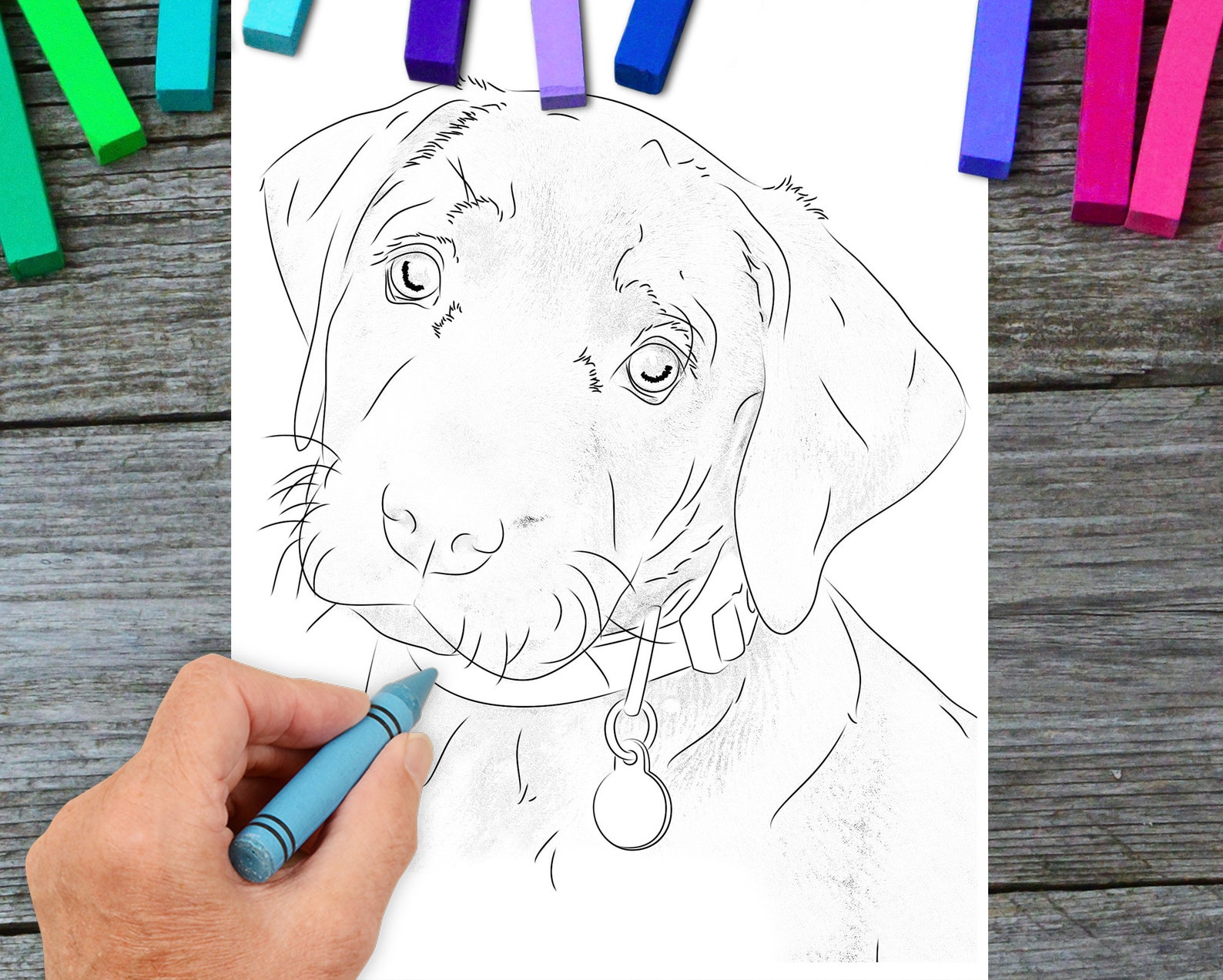 Hunde Ausmalbilder Labrador: Unleash Your Inner Artist and Bond with Your Furry Friend!