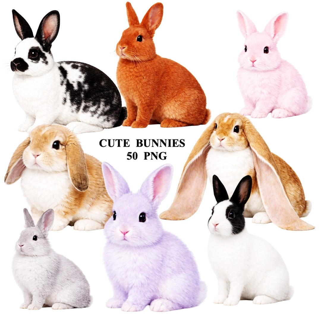 Gfx Rabbit 50 PNG Bunny Graphics: Rabbit Illustrations - Etsy