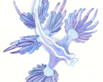 1 png BLUE DRAGON SEA
