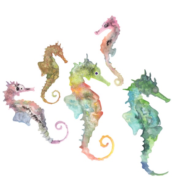 5 png SEAHORSE WATERCOLOUR