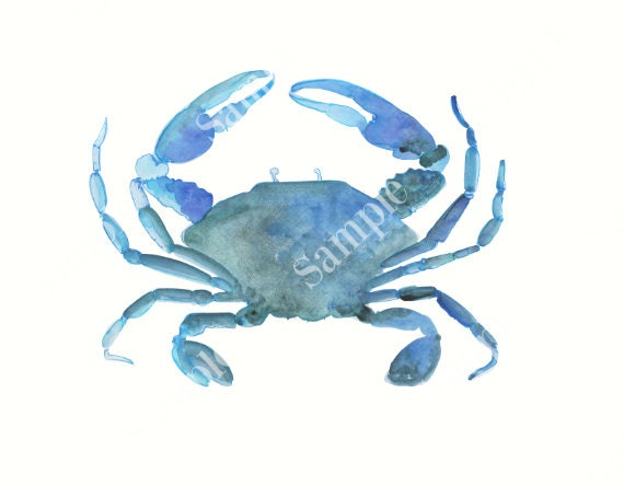 1 png BLUE CRAB WATERCOLOURS