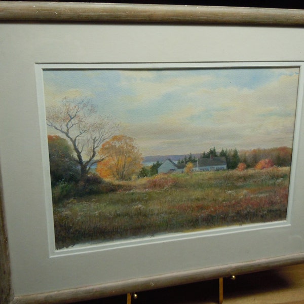 Medium Watercolor on paper framed Rural Landscape Colorful Summer Blooms Field D Bowman