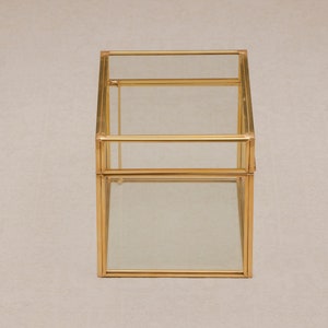 May include: A rectangular glass terrarium with a hinged top and gold-colored metal frame. The terrarium has three glass panels and a small chain to hold the top open. The design is geometric and modern.