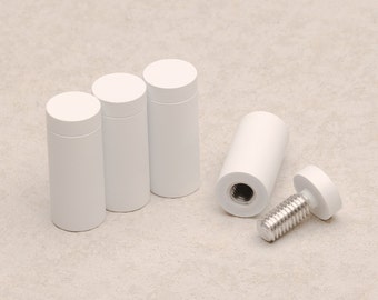 May include: Four white plastic cylindrical plugs with a silver screw and a white plastic cap. The plugs are used to cover holes in walls.