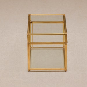 May include: A gold-colored, geometric terrarium with clear glass panels. The terrarium has a rectangular base and a hinged top, creating a display case for small plants or decorative items. The frame is made of a shiny, metallic material.