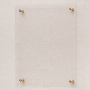 May include: A clear acrylic frame with four gold metal hooks. The frame is mounted on a white wall.