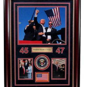 Donald Trump Photo Collage of the Inauguration of 45th and 47th US President