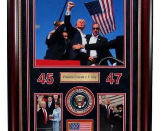 Donald Trump Photo Collage of the Inauguration of 45th and 47th US President