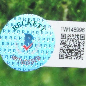 Mia Hamm US Women's Soccer Signed/Autographed 16x20 Photo Framed image 4