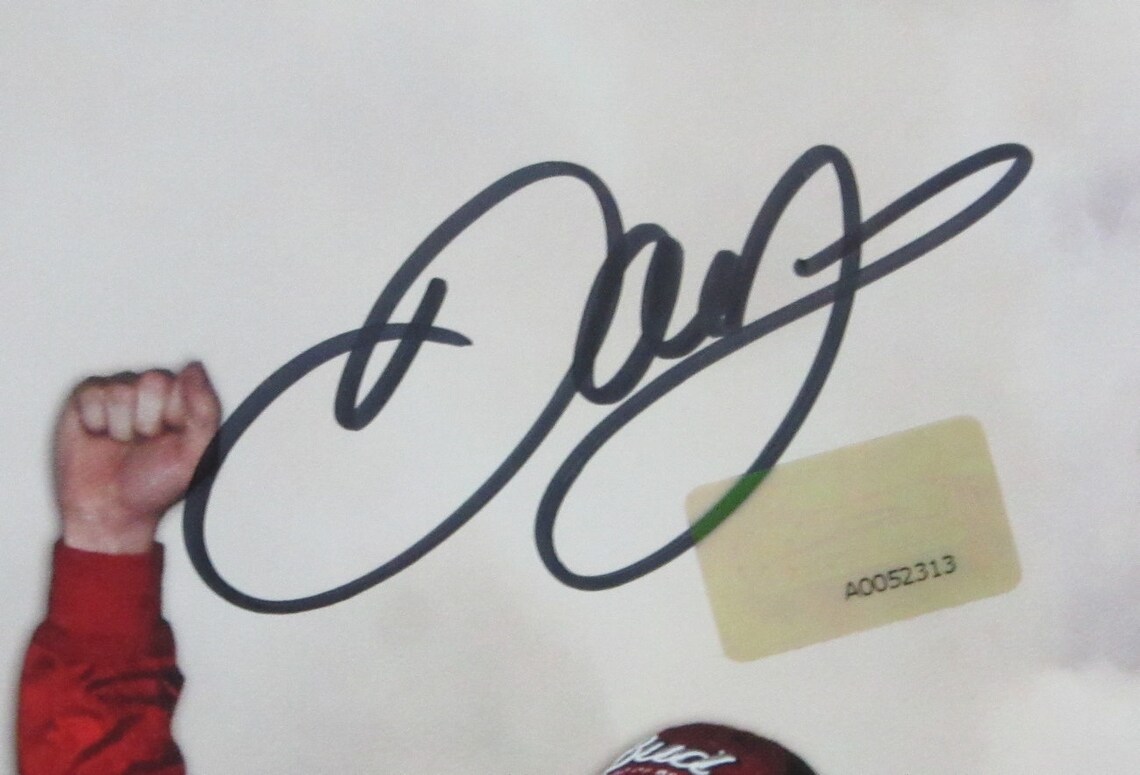 Dale Earnhardt Jr. NASCAR Signed/Autographed Photo Collage Etsy