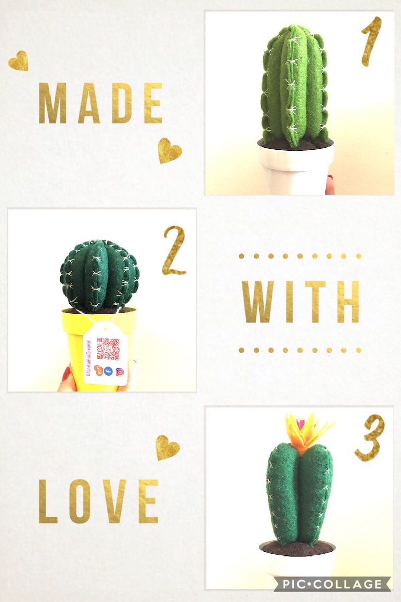 fake plant evergreen handmade plant wedding favor gift felt cactus homedecor Cactus fat plant in felt home decoration.