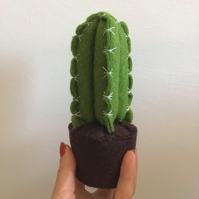 fake plant evergreen handmade plant wedding favor gift felt cactus homedecor Cactus fat plant in felt home decoration.