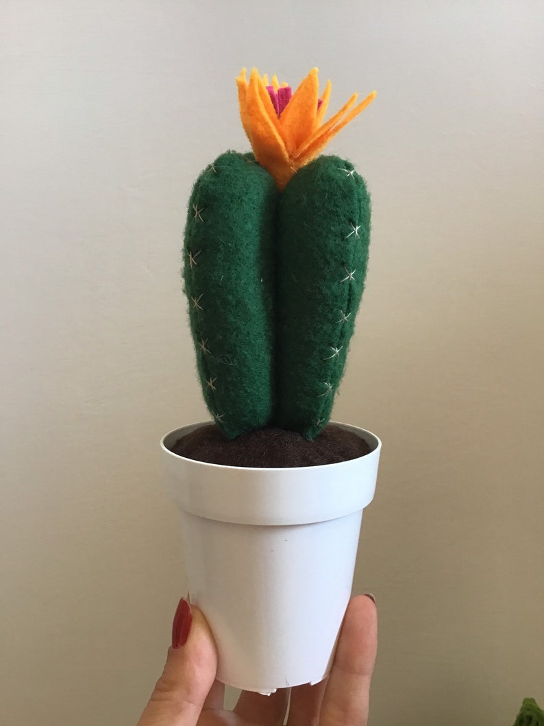 fake plant evergreen handmade plant wedding favor gift felt cactus homedecor Cactus fat plant in felt home decoration.