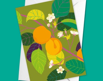 Carta albicocca / Ricetta sul retro / Food Lover Card / Bright Birthday Card