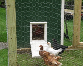 Timer Operated Automatic Chicken Coop Door