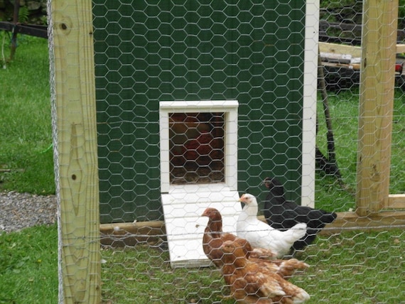 Automatic Chicken Coop Door Automates Your Coop Door With Etsy