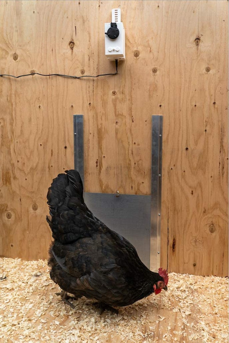 Automatic Chicken Coop Door Opener With Motor & Timer Etsy
