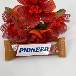 JW Pioneers Meeting With Elders, Jw Regular Pioneers, Jw gifts, Jw shop, Jw Gift ideas, Jw items