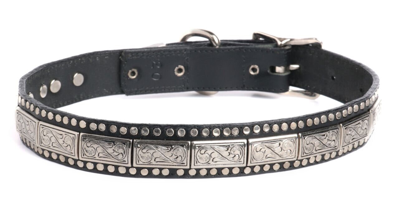 Dog Collar Italian Genuine Leather With Decorative Ornaments Etsy
