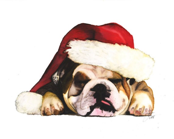 bulldog with santa hat