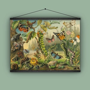 Bug lover, gift for gardener, butterfly, caterpillar, cocoons, insects, creepy crawlers, antique, grasshoppers, beetles, wall hanging