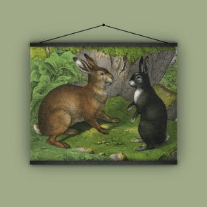 Children&#39;s decor, rabbit, bunny, hare, fairytale, wall hanging, forest, home decor, vintage, antique, natural history, 1880s, nursery decor