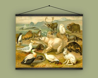 北極の野生動物、セイウチ、ホッキョクグマ、アザラシ、フクロウ、ヘラジカ、カモメ、海、子供用装飾品、寒さ、クジラ、ビンテージ、アンティーク、壁掛け、イッカク