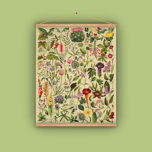 Ziehen Sie nach unten schulkarte, Wandbehang, Botanik, 1890er Jahre, Kaktus, Erdbeere, Trompete Blume, antikes Bild, Vintage-Art, Spanisch, Garten