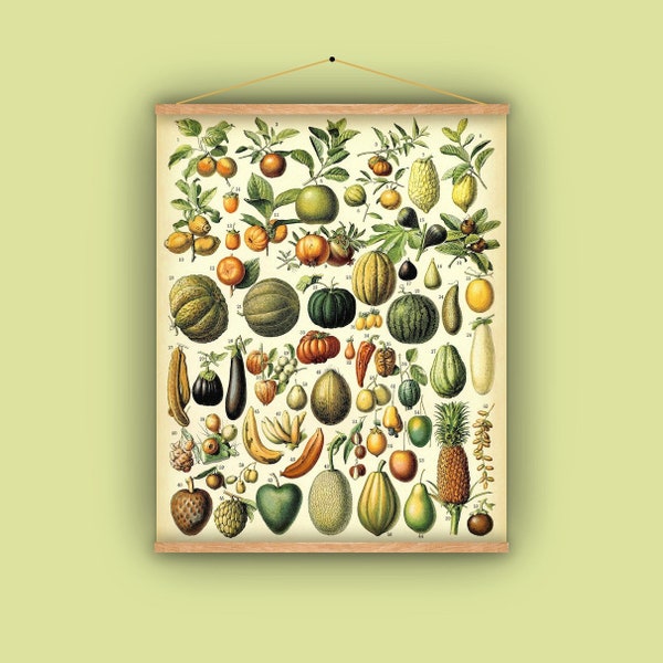 Fruit, pineapple, banana, wall hanging, kitchen decor, gift for chef, restaurant decor, pull down chart, antique image, vintage art, 1880s