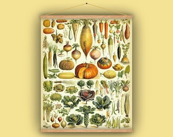 野菜、プルダウンチャート、壁掛け、アンティーク画像、ビンテージアート、カブ、ジャガイモ、カボチャ、1880 年代、フランス語、タマネギ、豆、ニンジン