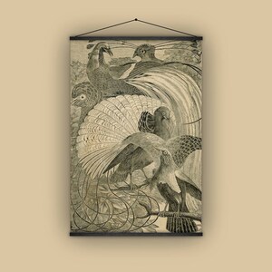 Bird of paradise, gift for birdwatcher, natural history, feathers, antique, vintage, wall hanging, wall decor, gift for him