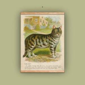 Katze-Liebhaber-Geschenk, Kätzchen, Katze, Tierarzt, Kinder Geschenk, Wandbehang, Wohnkultur, Vintage, Kinderzimmer, Kindes Buch, Antik